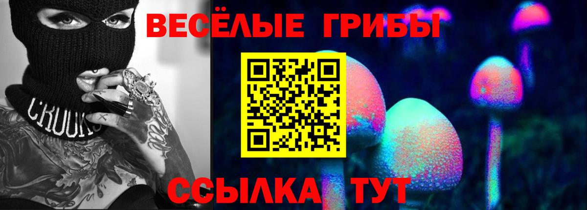 Галлюциногенные грибы мицелий Кинешма